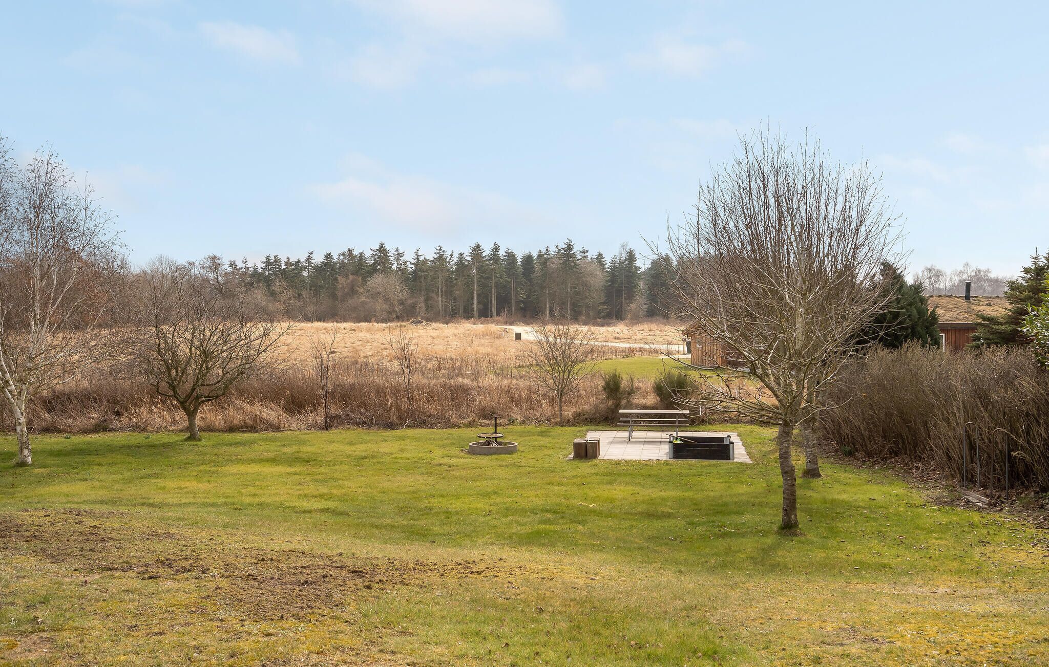A grassy field with a bench and a small structure, surrounded by trees and a forest in the background.