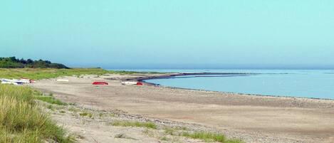 Tæt på stranden, fiskeri