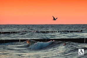 Unclassified image, 5 of 11, button