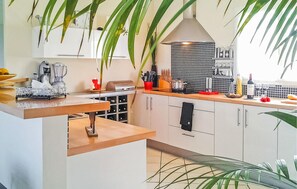 Réfrigérateur, micro-ondes, plaque de cuisson, lave-vaisselle