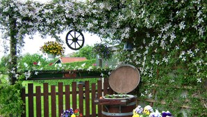 A wooden bench with a potted plant and a wooden barrel. - Apartment 1 - family-friendly apartments in Recknitztal (Semlow)