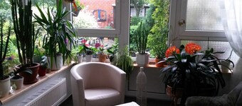 Apartment - Private room - P. Krol