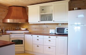 Kühlschrank, Mikrowelle, Herdplatte, Geschirrspüler
