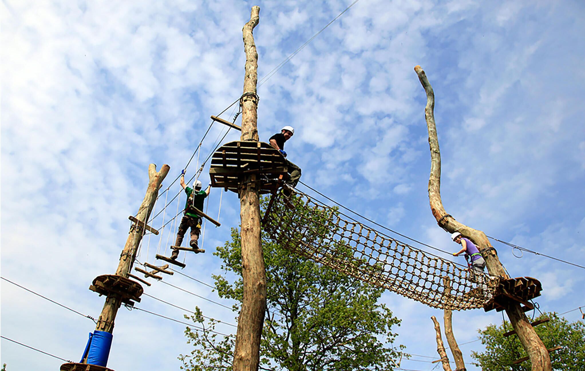 A rope bridge with participants.