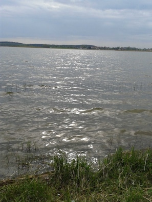 Image sans description, 5 de 25, bouton