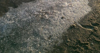 Ferienwohnungen Busack - Ferienwohnung BS1