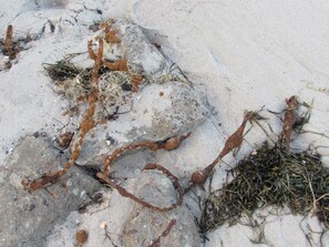 Unclassified image, 5 of 25, button