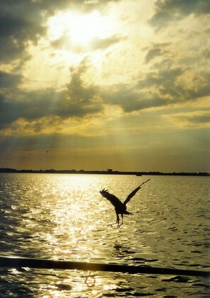 Luokittelematon kuva, 3 kautta 25, painike