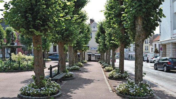 A tree-lined street with benches and flower beds. - 3 bedroom awesome home in Lottinghen (Lottinghen)