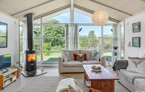 Télévision, cheminée, lecteur de DVD