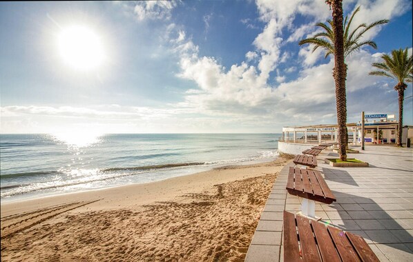Un paseo marítimo en la playa con bancos, palmeras y un edificio que dice "Miosco El Tierno".