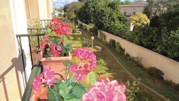 A balcony with potted pink flowers, a view of a garden with a pathway, and a building in the background. - Cozy apartment in Jerez de la Frontera (Jerez de la Frontera)