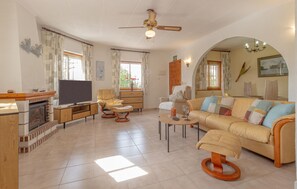 电视、壁炉、DVD 播放器