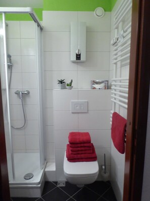 Shower, hair dryer