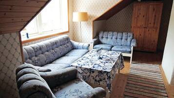 TV, fireplace, DVD player