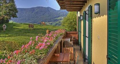 Ferienwohnung Guten Morgen Sonne 1. Stock - Pension Winter Am Irrsee