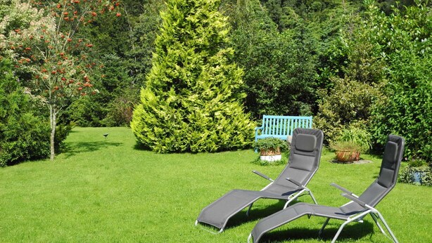 A garden with two lounge chairs, a blue bench, and a large coniferous tree. - Holiday 2 - Holidays from the I Fam. Roman Kurth / TZR (Putbus)