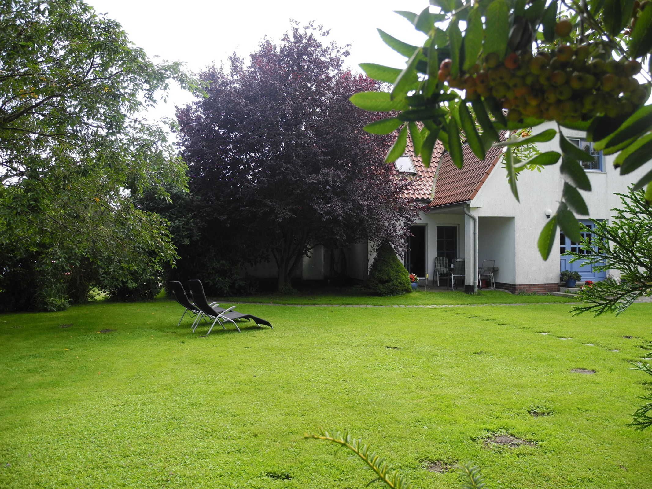 A well-maintained lawn with a single lounge chair, a large tree, and a building with a red-tiled roof.
