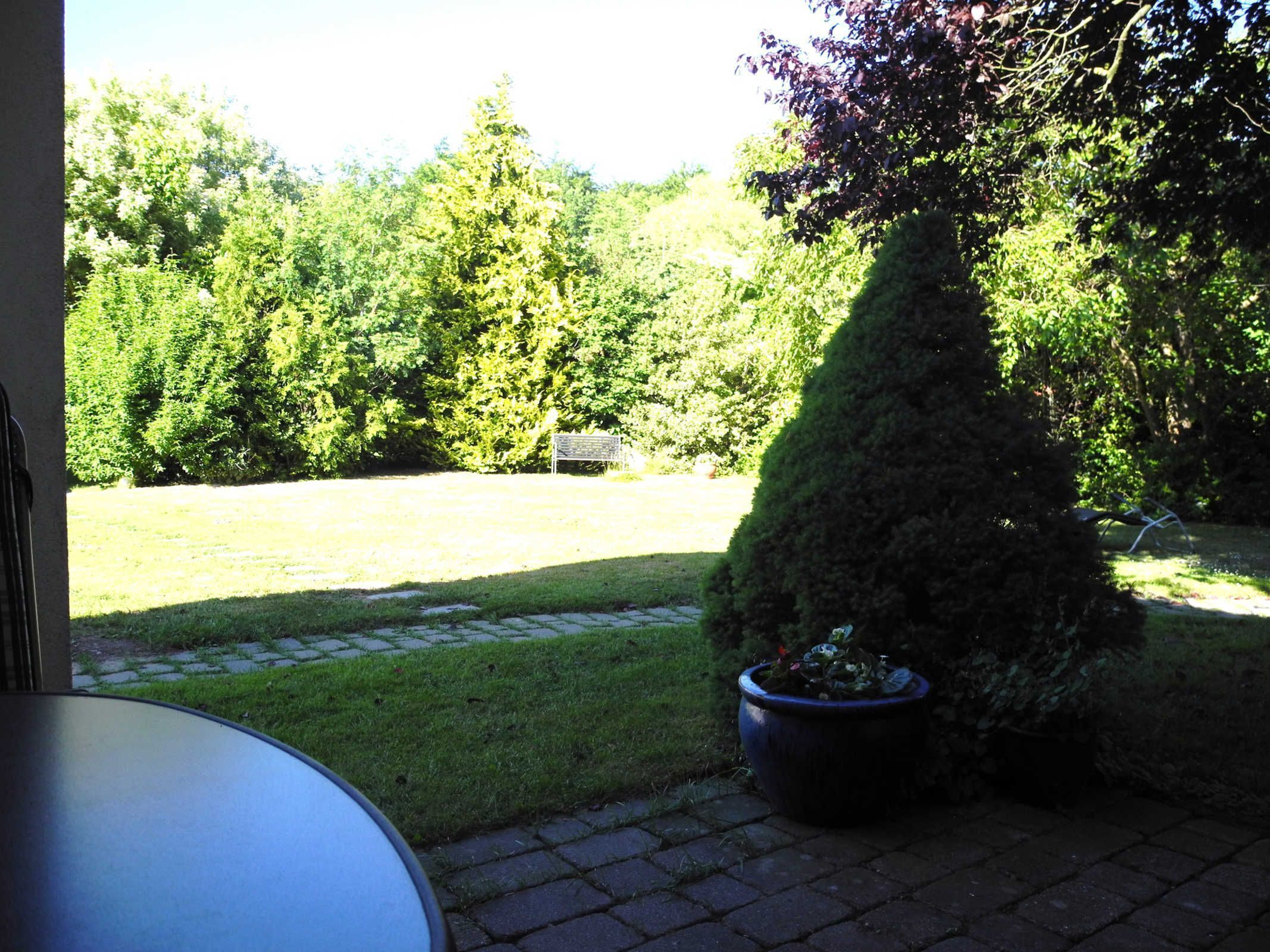 A garden with a paved pathway, a small table, and a potted plant.