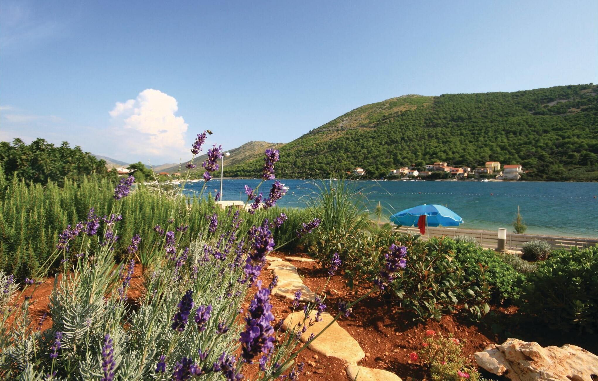 A coastal landscape with lavender fields, a blue umbrella, and a view of the sea and hills.