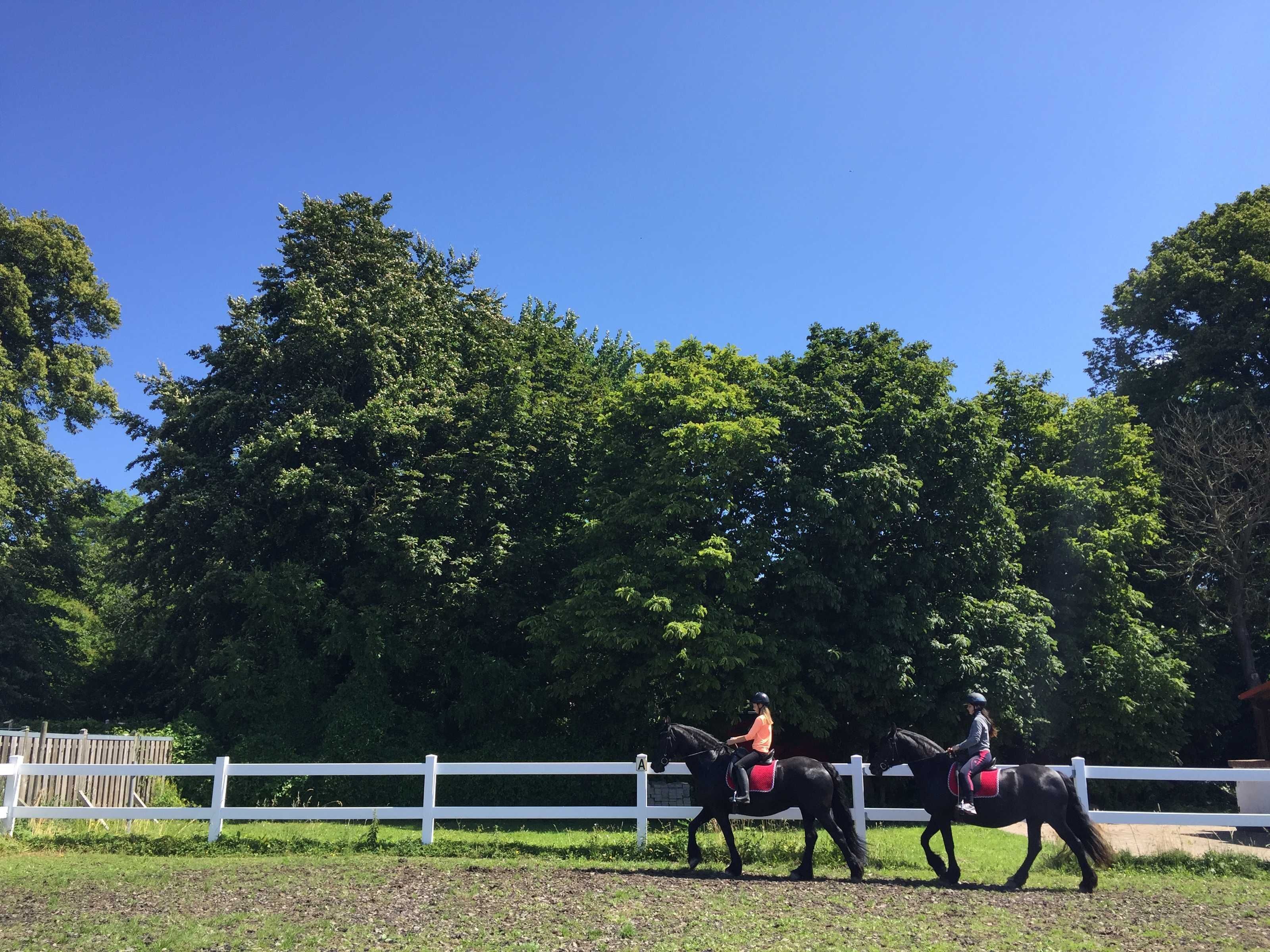 Two people riding horses in an outdoor area with a white fence and trees in the background.