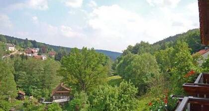 Chambre Double avec Balcon 1 - Gasthaus Zum PĂ€lterwald