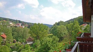 A residential area with houses surrounded by greenery and a clear sky. - Double Room with Balcony 1 - Gasthaus Zum Pälterwald (Oberzent)