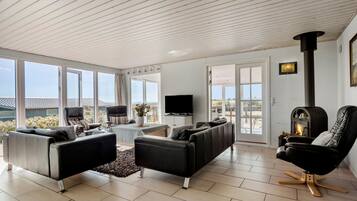TV, fireplace, DVD player