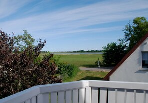 Immagine non classificata, 3 di 31, pulsante