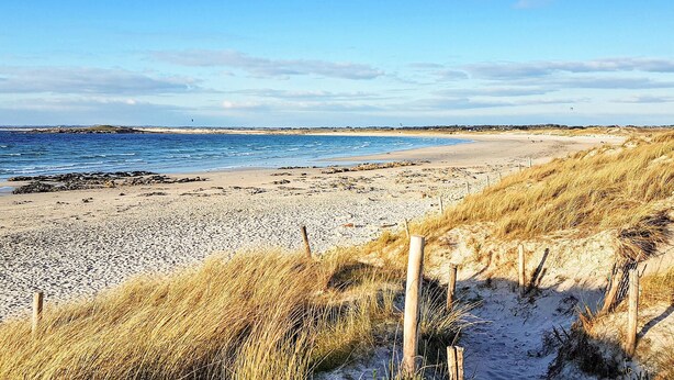 Ein Strand mit sandigem Ufer, grasbewachsenen Dünen und blauem Himmel.