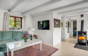 Televisor i llar de foc 