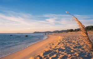 Playa en los alrededores 