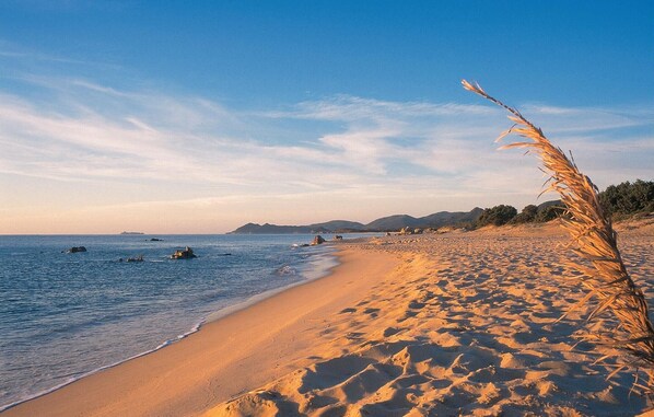 Plage à proximité