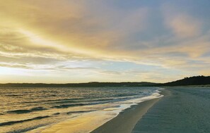 A beach with a sandy shore and a calm sea. - Cozy apartment in Binz with house sea view (Prora/Rügen)