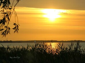 Immagine non classificata, 3 di 16, pulsante