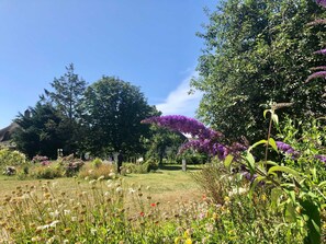 Terrain de l’hébergement 