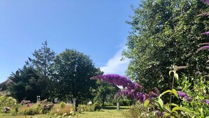 Un jardin avec différentes plantes et arbres, un ciel dégagé et un bâtiment en arrière-plan.