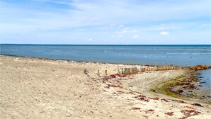 Una playa arenosa con un cerco de madera y algas marinas a lo largo de la orilla.