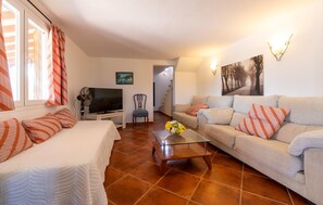 电视、壁炉、DVD 播放器