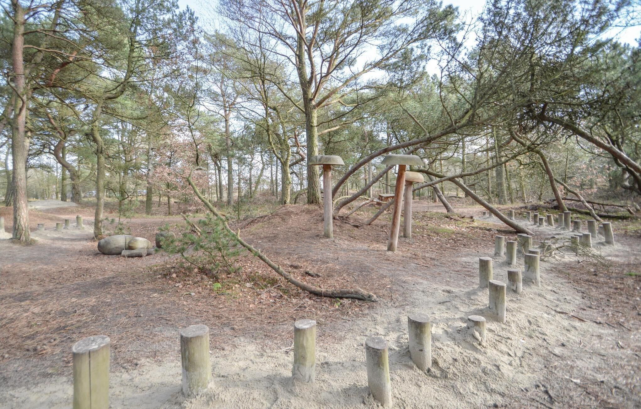 A forested area with a dirt path, wooden posts, and a fallen tree.