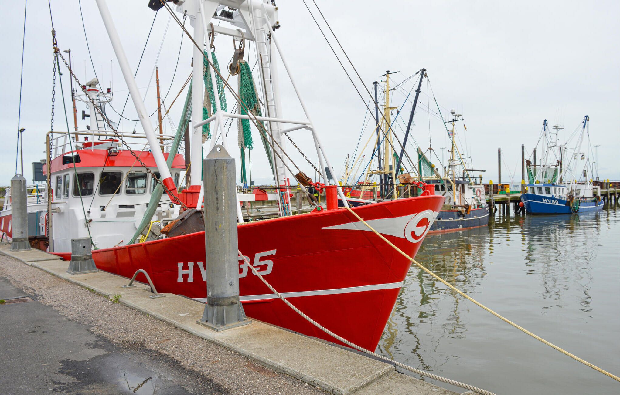 A harbor with several fishing boats docked.