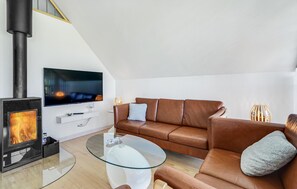 Una televisión, una chimenea, un reproductor de DVD