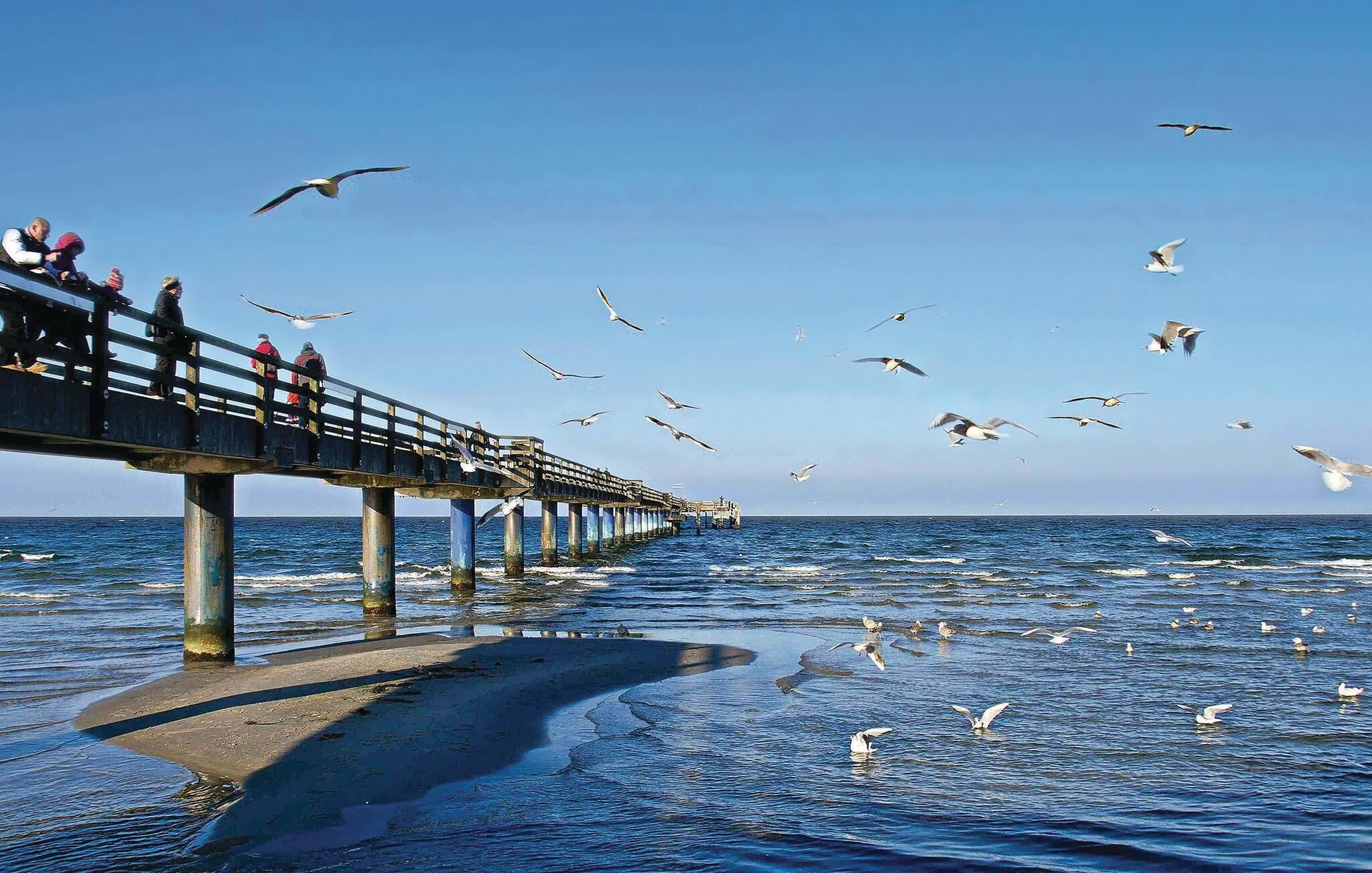 A pier extending into the water with people walking on it and seagulls flying around.