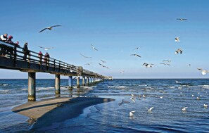 Beach nearby, fishing