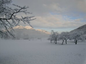 Unclassified image, 3 of 54, button