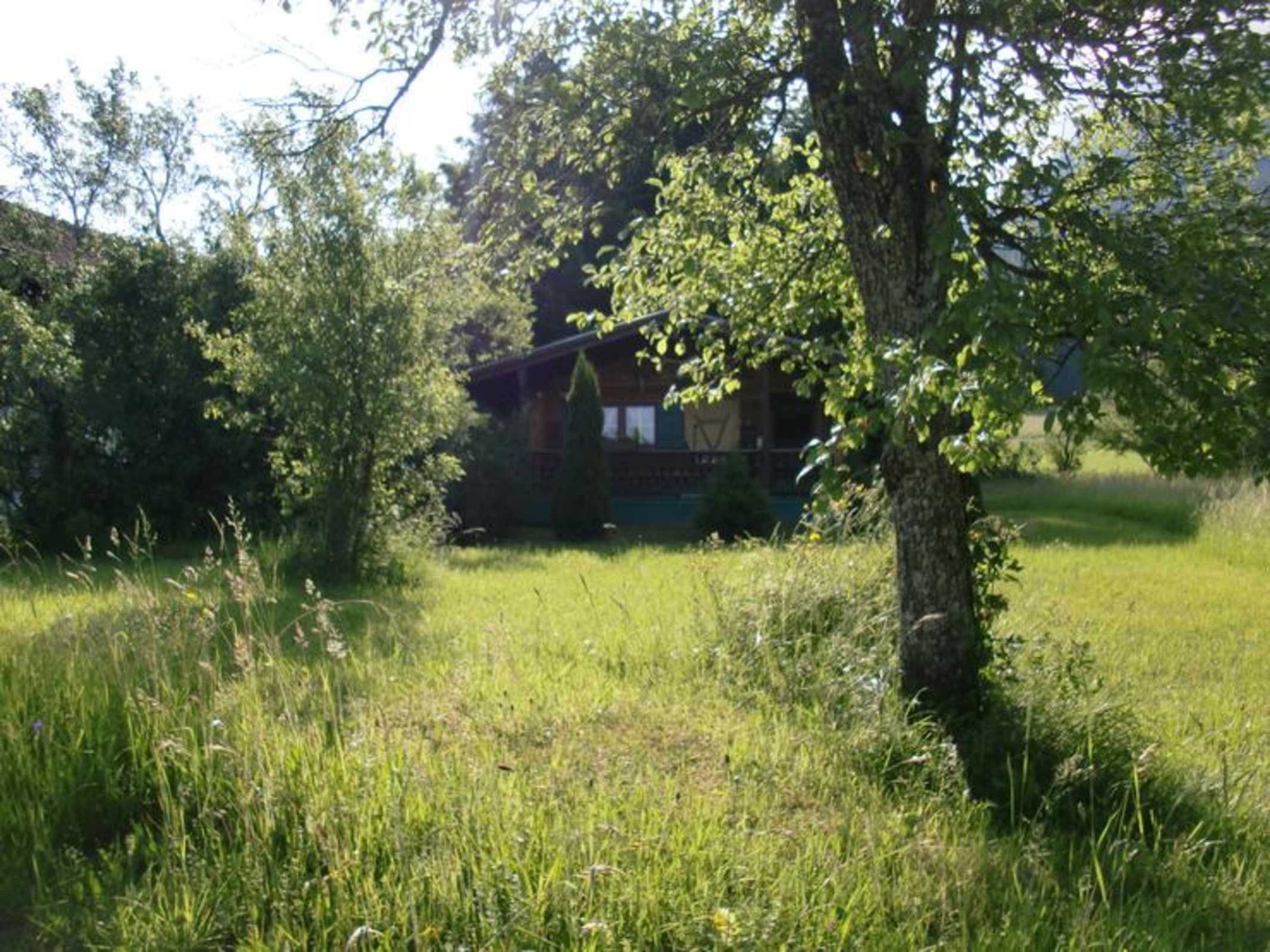 Een huis omgeven door weelderige begroeiing en bomen.