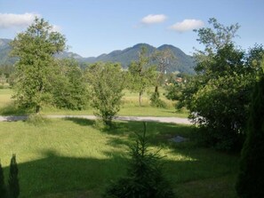 Paisaje rural con árboles, una carretera y montañas al fondo.