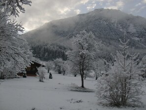 Unclassified image, 4 of 54, button - Ferienalm, Germany (Ruhpolding)