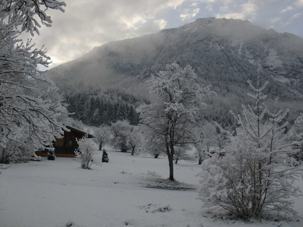 Unclassified image, 1 of 54, button