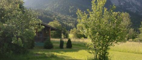 A rustic cabin with a wooden exterior, surrounded by a grassy field and trees, with a mountain in the background.